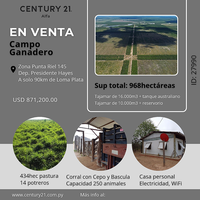 Campo 968hectáreas image1