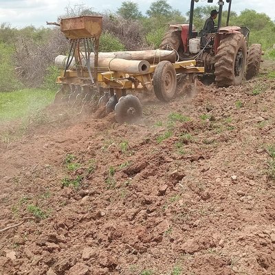 Desarollo y mantenimiento de pasturas en el Chaco logo