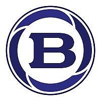 Braun logo